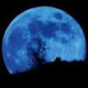 Meet your Posher, John ian